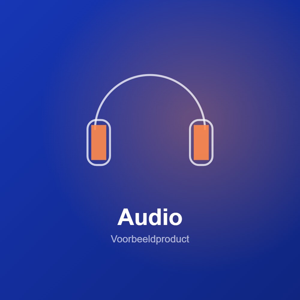 Headset (voorbeeld)